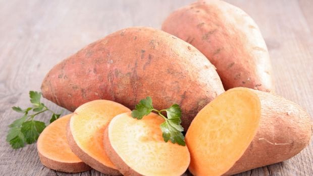 The Benefits Of Feeding Your baby with sweet potato baby food Product