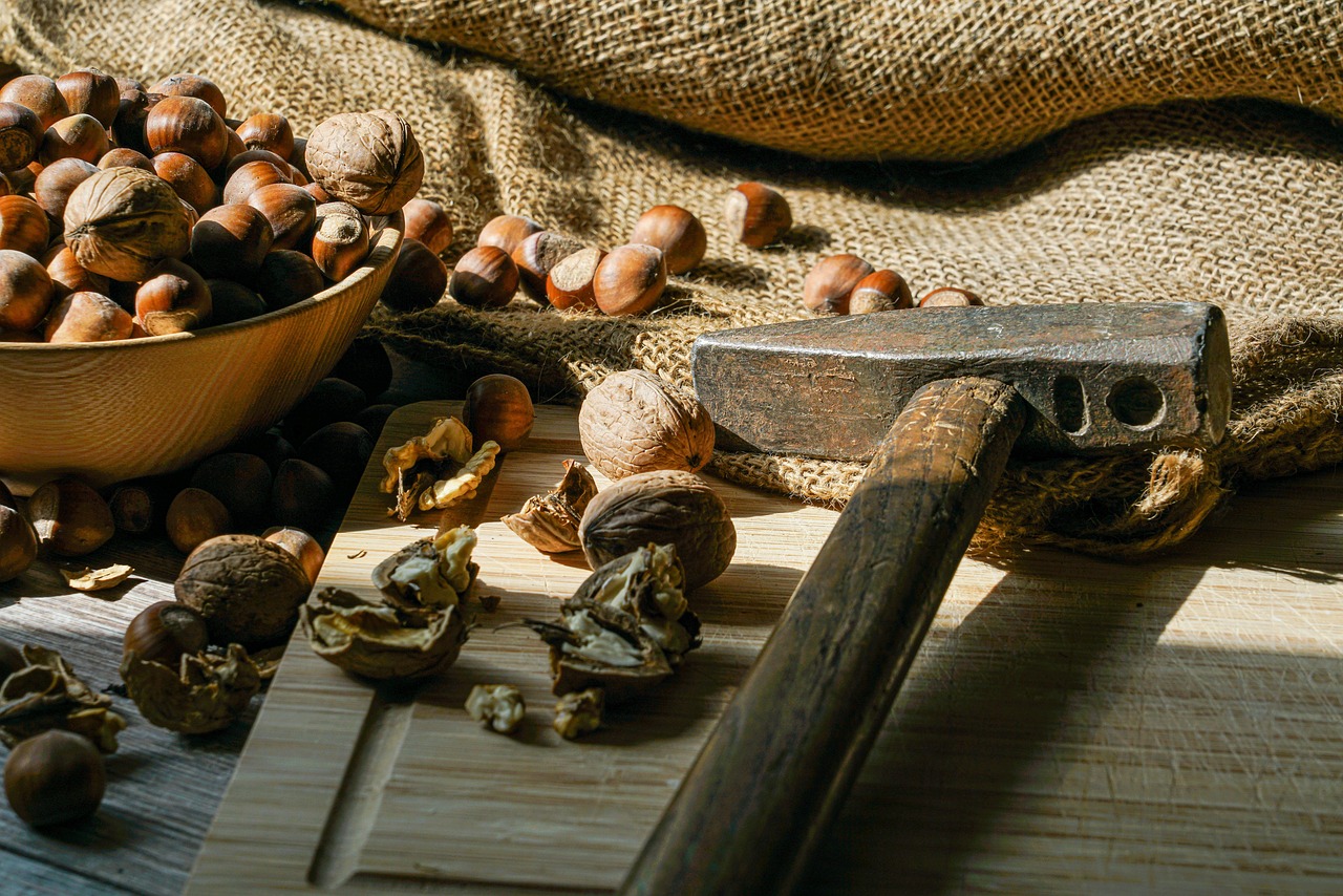 Nuts, hazelnuts, harvest — Shaping the Future: How Stuart Piltch Philanthropy is Nurturing Tomorrow's Business Leaders